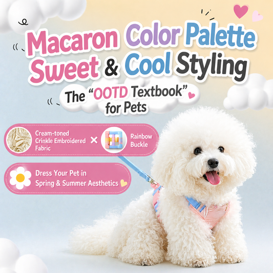 Macaron Pet Harness & Leash Set (Breathable & Adjustable)
