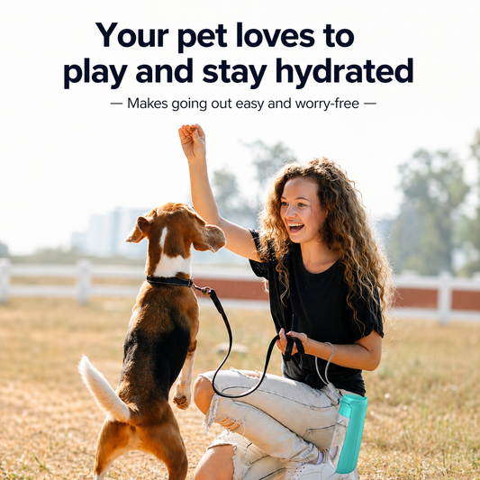 550ml Foldable Pet Water Bottle – Portable Leak-Proof Dog Travel Bottle