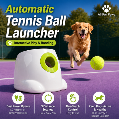 Automatic Tennis Ball Launcher for Dogs