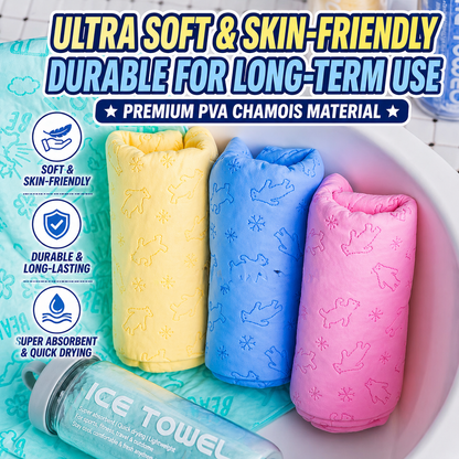 Portable Ice Cooling Towel with Bottle – Quick Dry PVA Sports Towel