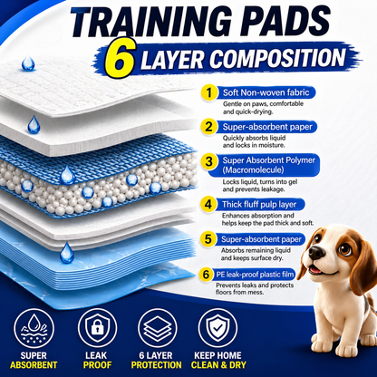 6 Layer Dog Training Pads – Leak Proof & Odor Control