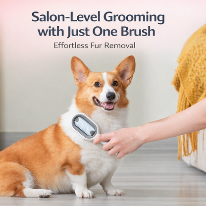 3-in-1 Pet Grooming Brush with Water Tank