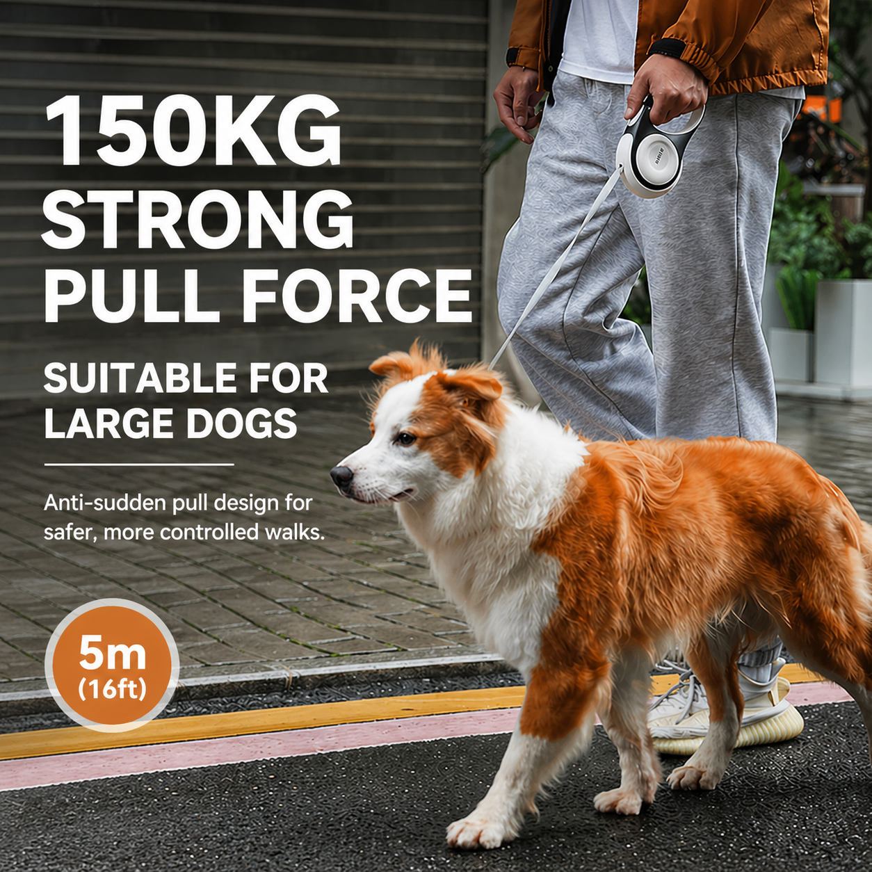 Retractable Dog Leash with LED & Bags (3M / 5M Heavy Duty Anti-Pull)
