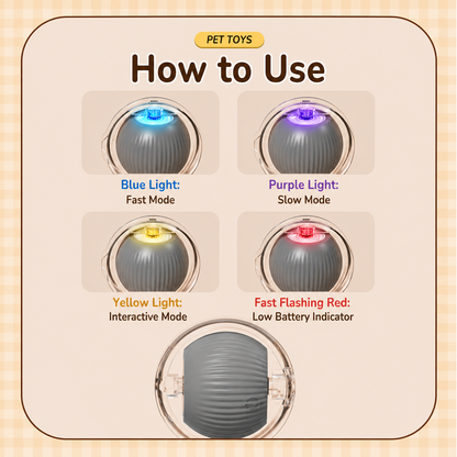 Smart Interactive Cat Toy Ball (USB Rechargeable Auto Rolling Toy)