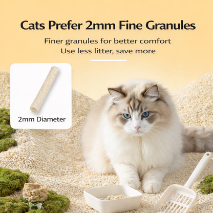 PetPetCat Tofu Cat Litter (6L)