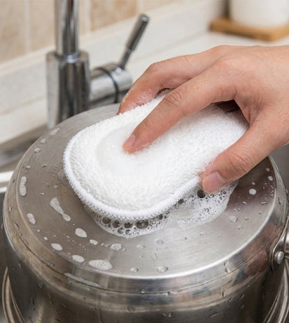 Kitchen Cleaning Sponge & Scouring Pad (Multi-Type)