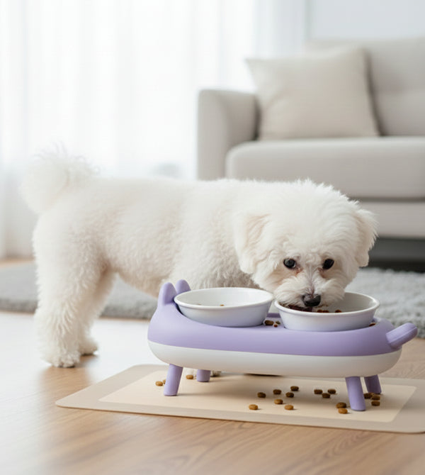 Elevated Double Cat Bowl – Neck Protection Feeding Stand