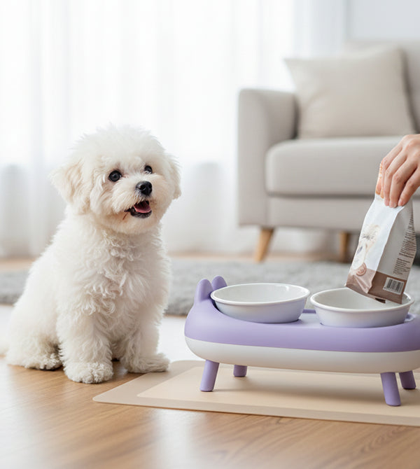 Elevated Double Cat Bowl – Neck Protection Feeding Stand