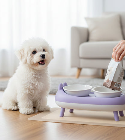 Elevated Double Cat Bowl – Neck Protection Feeding Stand