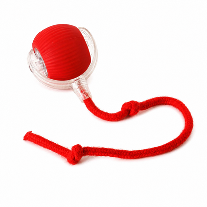 Smart Interactive Cat Toy Ball (USB Rechargeable Auto Rolling Toy)
